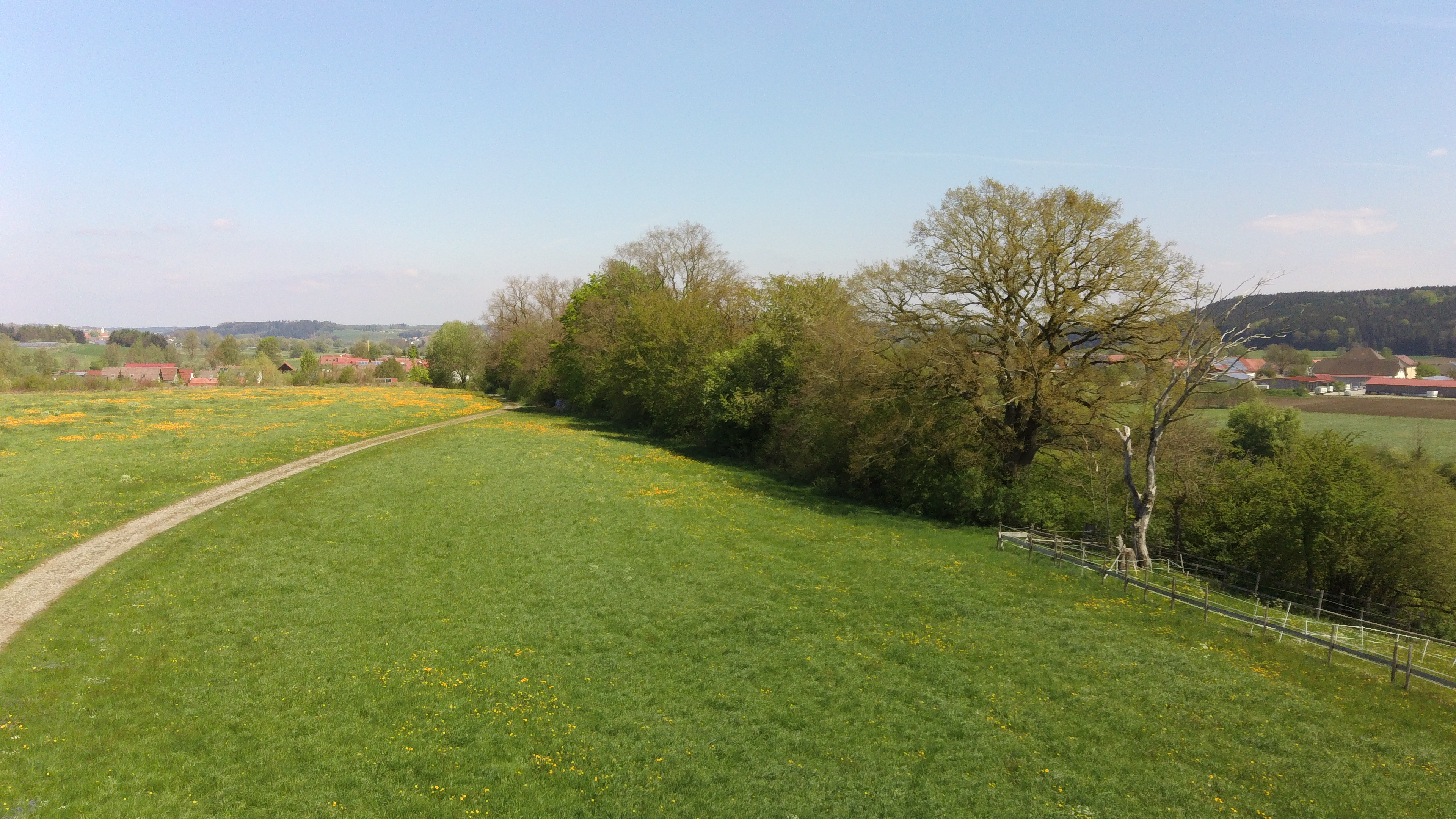 please try another browser