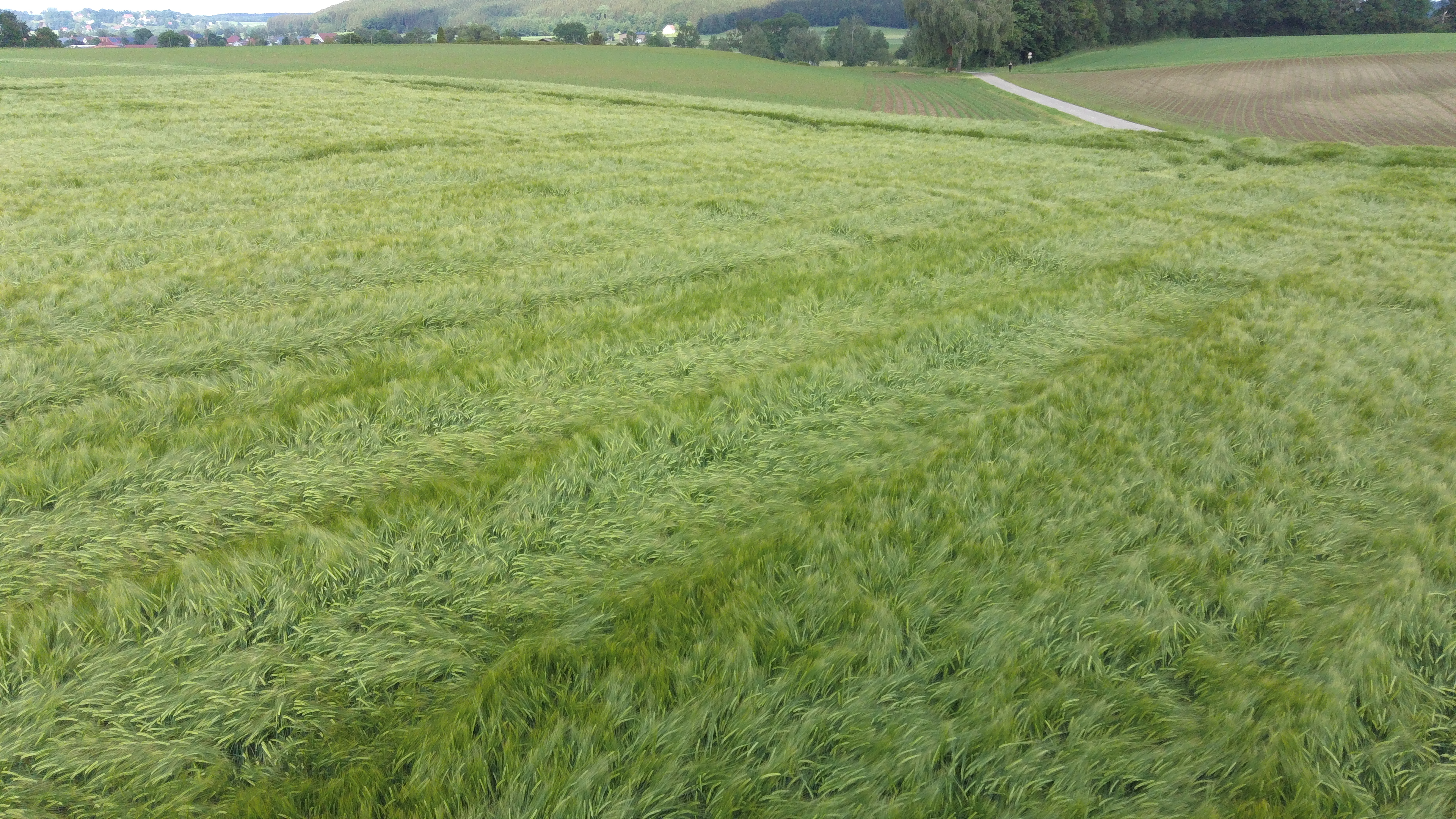 please try another browser