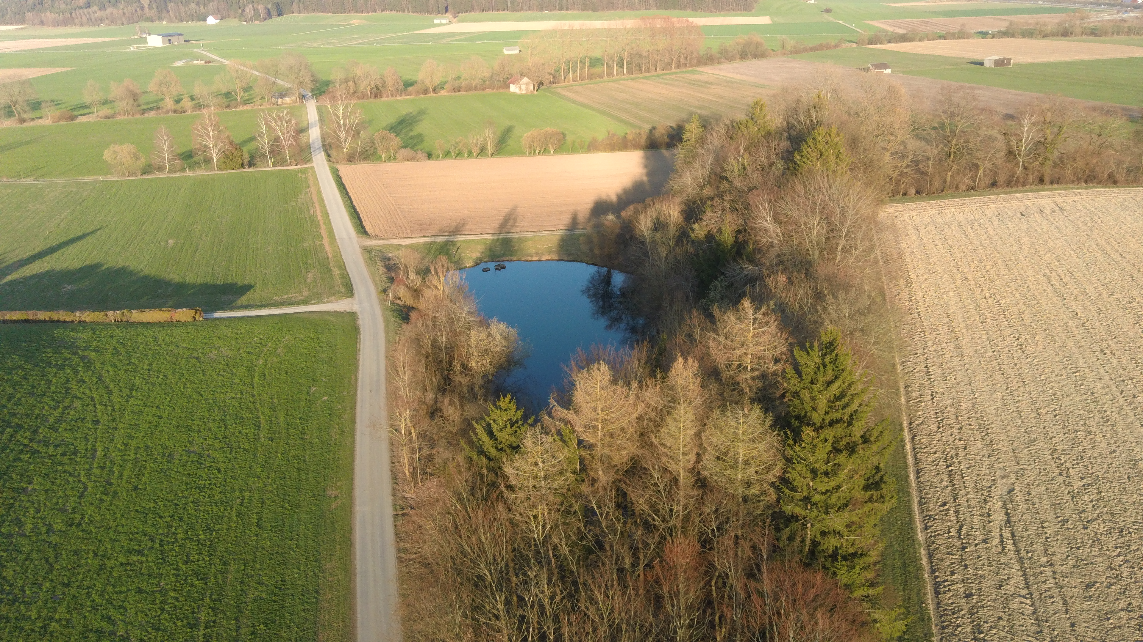 please try another browser